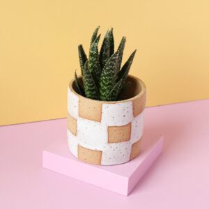 Nightshift Ceramics - Small Planter - Checkerboard White